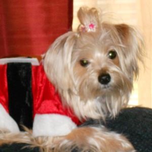 Meet your Posher, Alfred